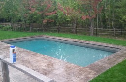 Backyard Pool – Sophisticated 6