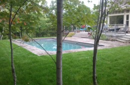 Backyard Pool – Sophisticated 3