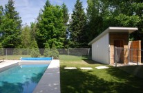 Backyard Pool – Start To Finish #7