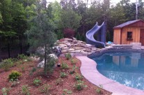 Backyard Pool – With Slide #2