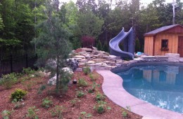 Backyard Pool – With Slide #2