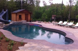 Backyard Pool – With Slide #1