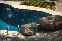 Backyard Pool – With Rock Feature