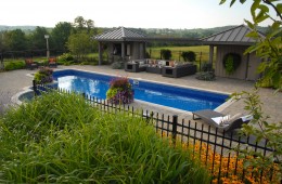 Backyard Pool – Oasis 3